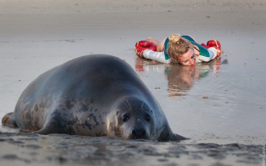HÉLÈNE BARREAU – BIG SEAL